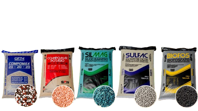 Inicio 1000279665 removebg preview